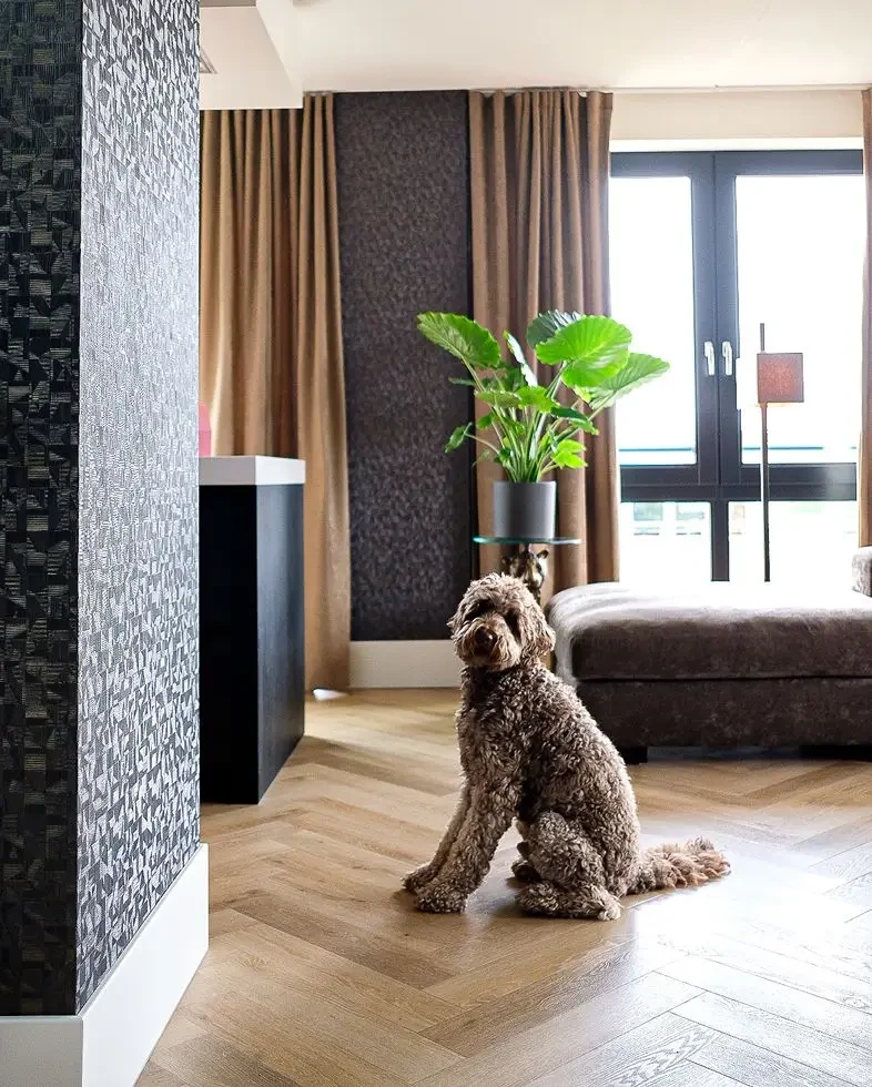Visgraat pvc vloer in warme houttint in moderne woonkamer met hond